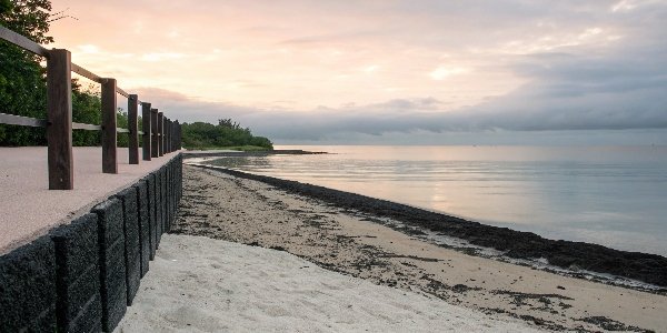 A simple diagram showing the body's defense against aluminum: Gut Barrier -> Kidney Filter -> Excretion