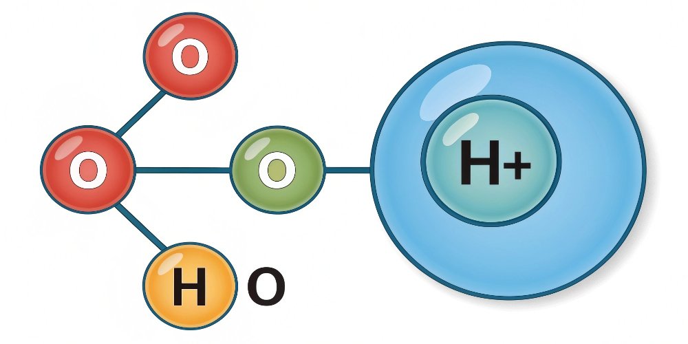 A diagram showing an OH- ion joining with an H+ ion to form H2O